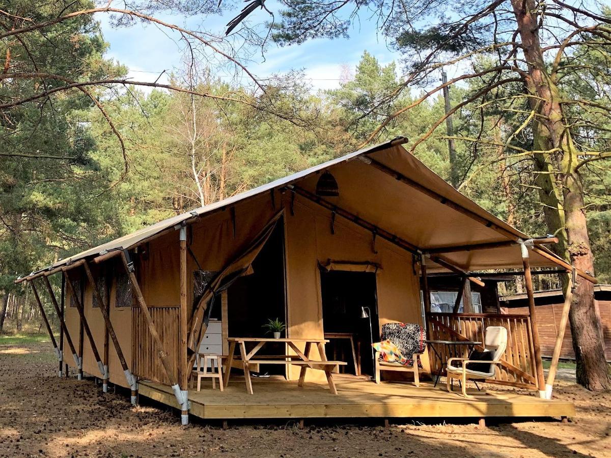 Camp Bursztynowy Las Gdansk Dış mekan fotoğraf