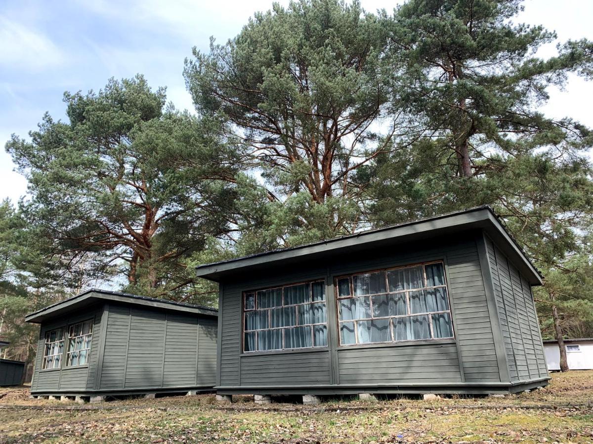 Camp Bursztynowy Las Gdansk Dış mekan fotoğraf