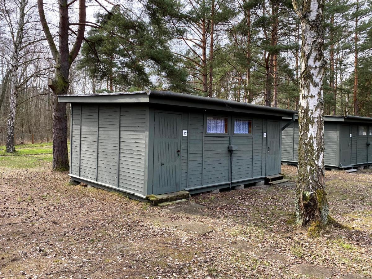 Camp Bursztynowy Las Gdansk Dış mekan fotoğraf